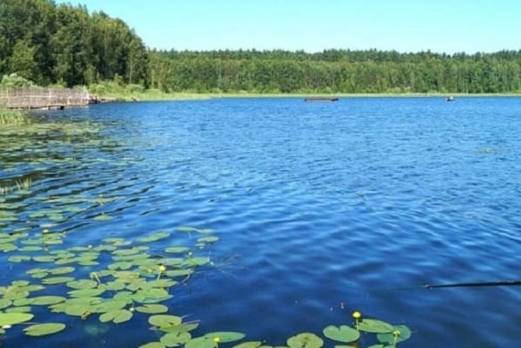 Пять озер в Омской области