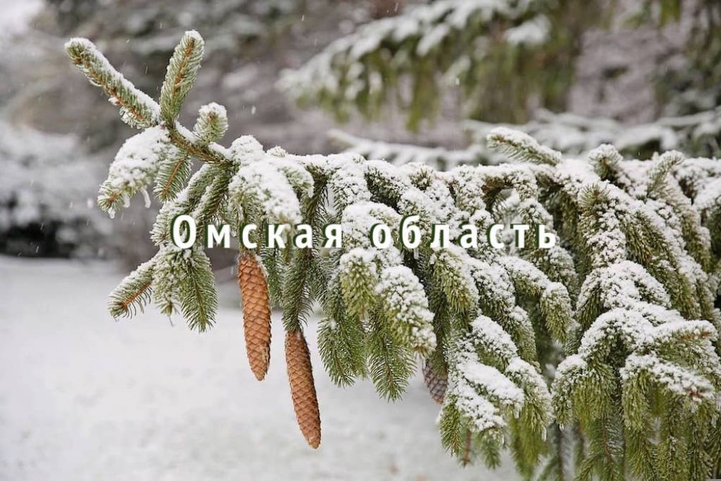 Туры из Омска зимой